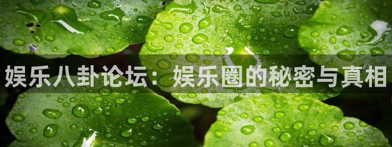 彩虹多多平台开户链接