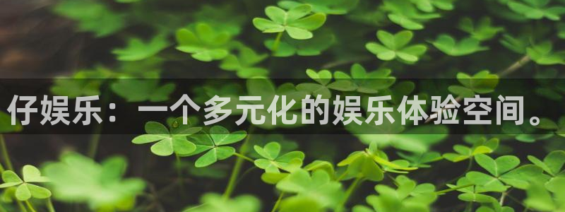 彩虹多多平台在线注册：仔娱乐：一个多元化的娱乐体验空间。