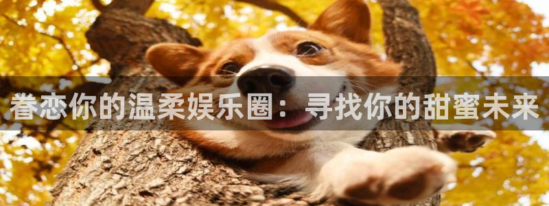 彩虹多多体育娱乐注册链接：眷恋你的温柔娱乐圈：寻找你的甜蜜未来