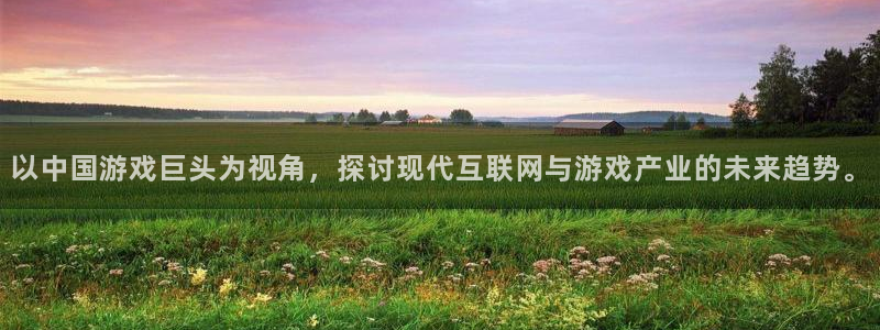 彩虹多多体育：以中国游戏巨头为视角，探讨现代互联网与游戏产业的未来趋势。