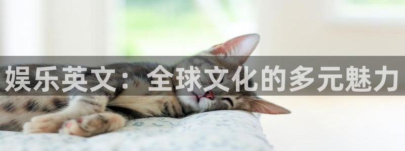 彩虹多多包怎么样：娱乐英文：全球文化的多元魅力