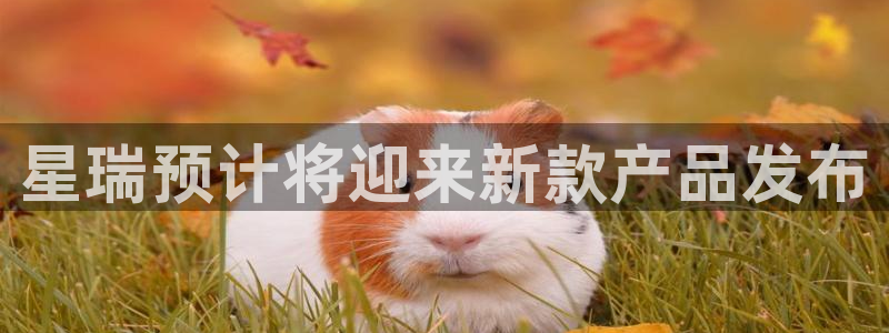 彩虹多多kgame：星瑞预计将迎来新款产品发布