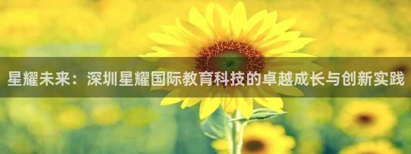 佛山市南海彩虹多多机电仪器有限公司：星耀未来：深圳星耀国际教育科技的卓越成长与创