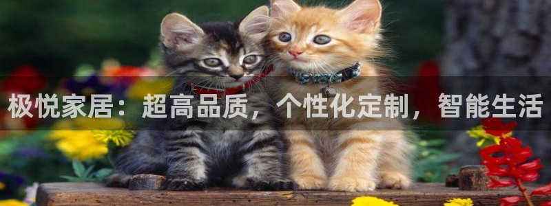 彩虹多多体育2官网入口：极悦家居：超高品质，个性化定制，智能生活