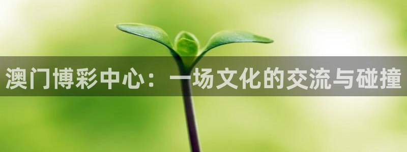 彩虹多多体育官网登录：澳门博彩中心：一场文化的交流与碰撞
