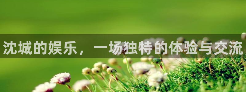 彩虹多多平台主管：沈城的娱乐，一场独特的体验与交流