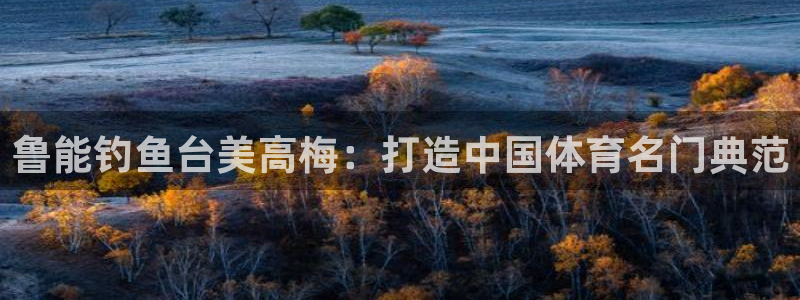 彩虹多多体育代理：鲁能钓鱼台美高梅：打造中国体育名门典范