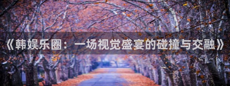 彩虹多多注册：《韩娱乐圈：一场视觉盛宴的碰撞与交融》