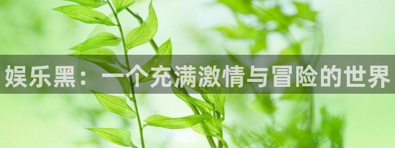 彩虹多多官网：娱乐黑：一个充满激情与冒险的世界
