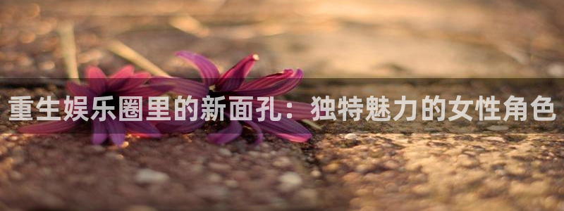 彩虹多多2官网：重生娱乐圈里的新面孔：独特魅力的女性角色