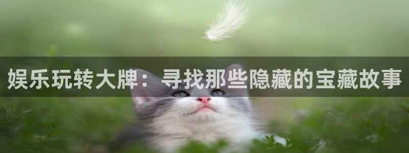 彩虹多多平台开户链接：娱乐玩转大牌：寻找那些隐藏的宝藏故事