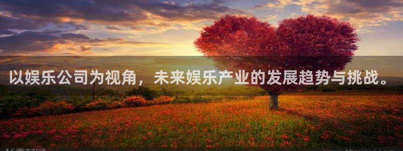 彩虹多多主管：以娱乐公司为视角，未来娱乐产业的发展趋势与挑战。