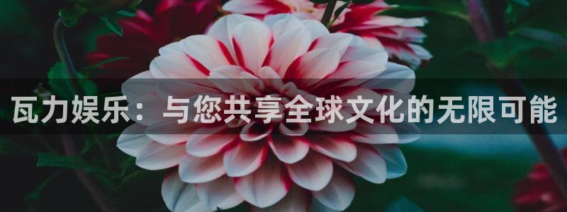 彩虹多多体育凯捷平台主管：瓦力娱乐：与您共享全球文化的无限可能