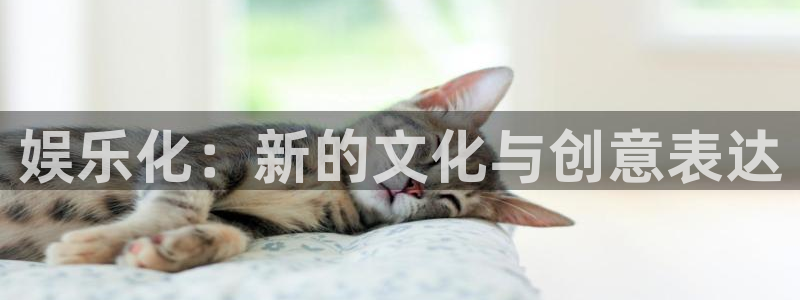 彩虹多多体育注册代理：娱乐化：新的文化与创意表达