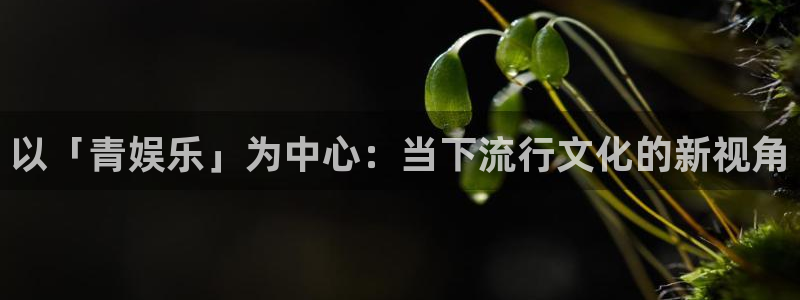 彩虹多多3登陆：以「青娱乐」为中心：当下流行文化的新视角