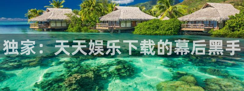彩虹多多平台总代理：独家：天天娱乐下载的幕后黑手