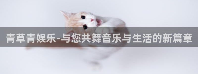 彩虹多多代理注册官网入口：青草青娱乐-与您共舞音乐与生活的新篇章