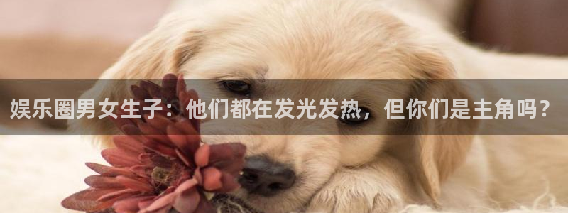 彩虹多多：娱乐圈男女生子：他们都在发光发热，但你们是主角吗？