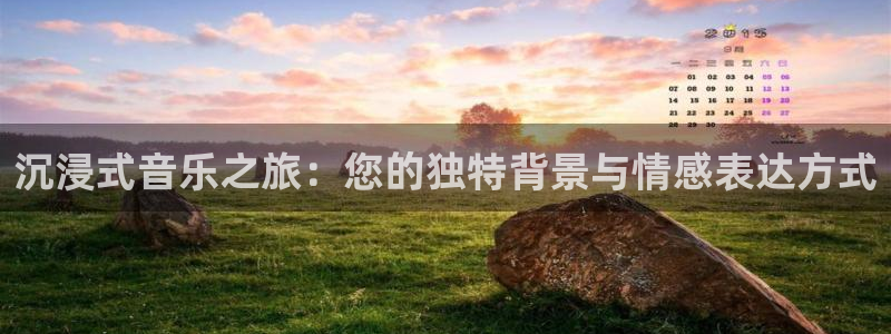 彩虹多多包怎么样：沉浸式音乐之旅：您的独特背景与情感表达方式