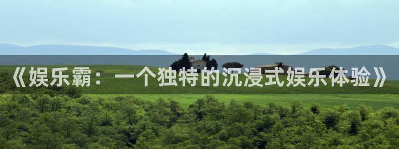 彩虹多多平台招商：《娱乐霸：一个独特的沉浸式娱乐体验》