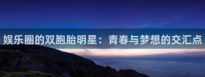 彩虹多多零能源集团：娱乐圈的双胞胎明星：青春与梦想的交汇点