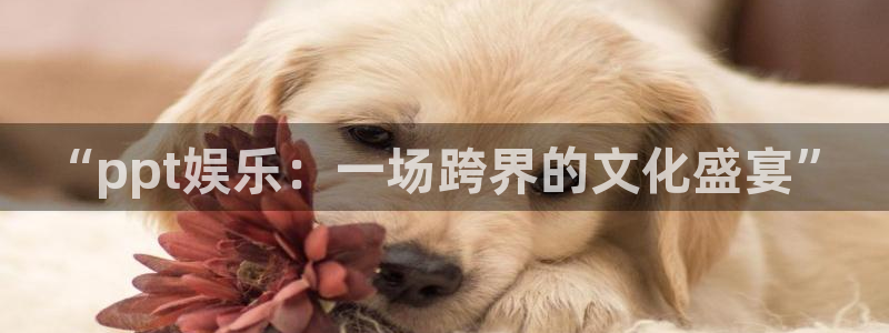 彩虹多多体育1招商：“ppt娱乐：一场跨界的文化盛宴”