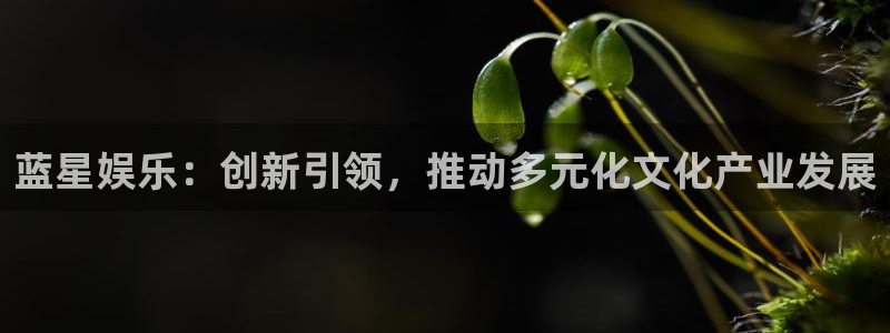 彩虹多多f凯捷平台在线注册：蓝星娱乐：创新引领，推动多元化文化产业发展