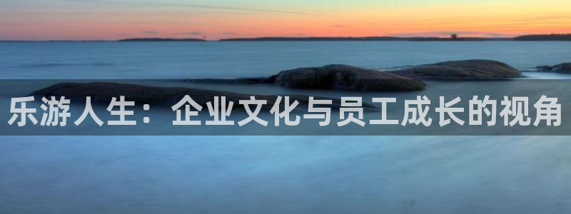 彩虹多多3注册：乐游人生：企业文化与员工成长的视角