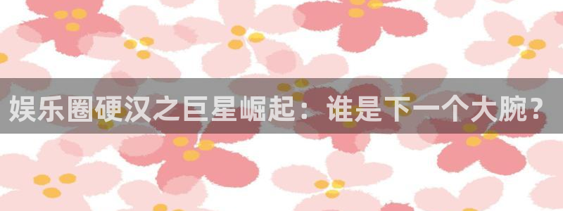 彩虹多多登录界面入口：娱乐圈硬汉之巨星崛起：谁是下一个大腕？