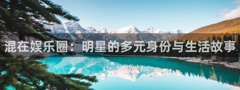 福建彩虹多多机电股份公司：混在娱乐圈：明星的多元身份与生活故事