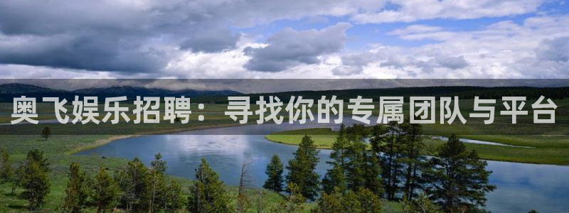 彩虹多多官网注册：奥飞娱乐招聘：寻找你的专属团队与平台