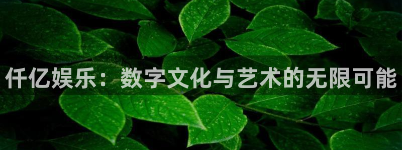 彩虹多多凯捷平台注册链接：仟亿娱乐：数字文化与艺术的无限可能