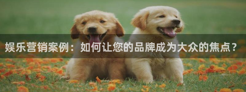 彩虹多多集团官网：娱乐营销案例：如何让您的品牌成为大众的焦点？