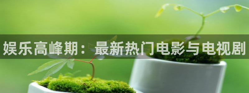 彩虹多多体育：娱乐高峰期：最新热门电影与电视剧